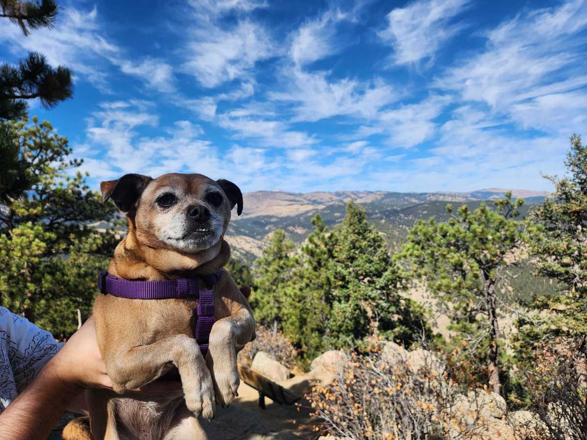 🔬A Brief Retrospective on Three Years of PhD life While Chronically&nbsp;Ill